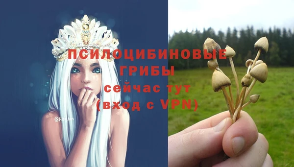 мескалин Нефтекумск
