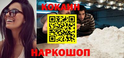 спиды Гай