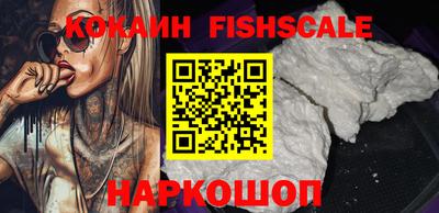 спиды Гай