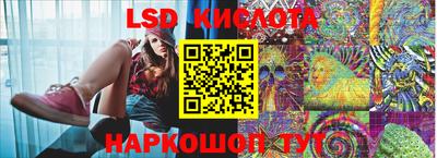 бошки Гатчина