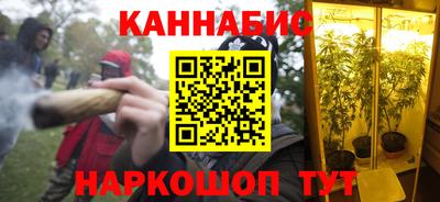 бошки Гатчина