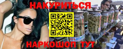 спиды Гай