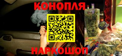 спиды Гай