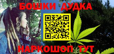 спиды Гай