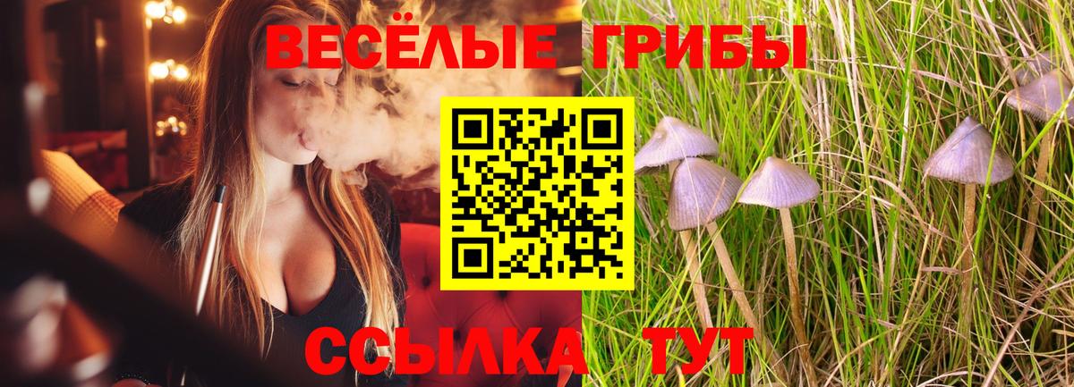 Галлюциногенные грибы Magic Shrooms Ивантеевка