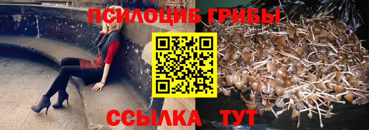 Ивантеевка  Галлюциногенные грибы прущие грибы  Вход с VPN 