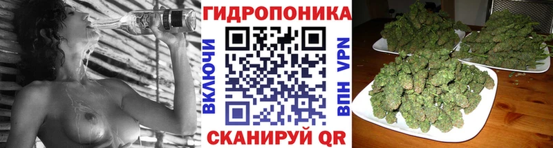 Бошки Шишки OG Kush Ивантеевка